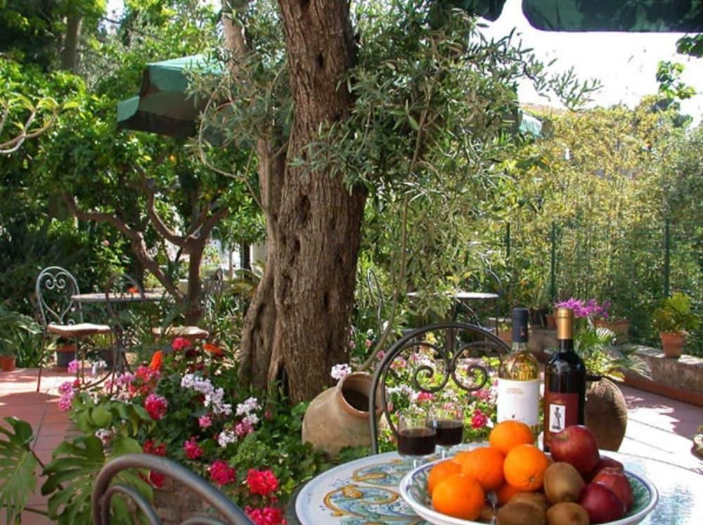 Garden 2*